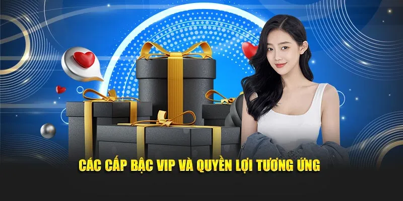 Các cấp bậc VIP và quyền lợi tương ứng