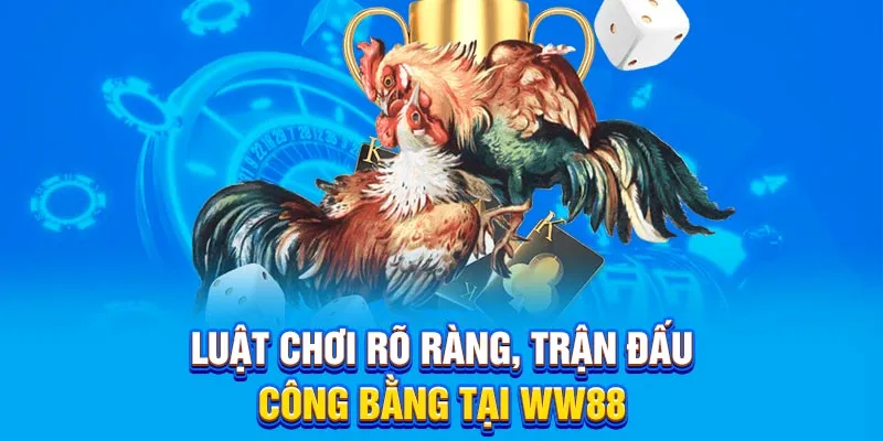 Luật chơi rõ ràng, trận đấu công bằng tại WW88