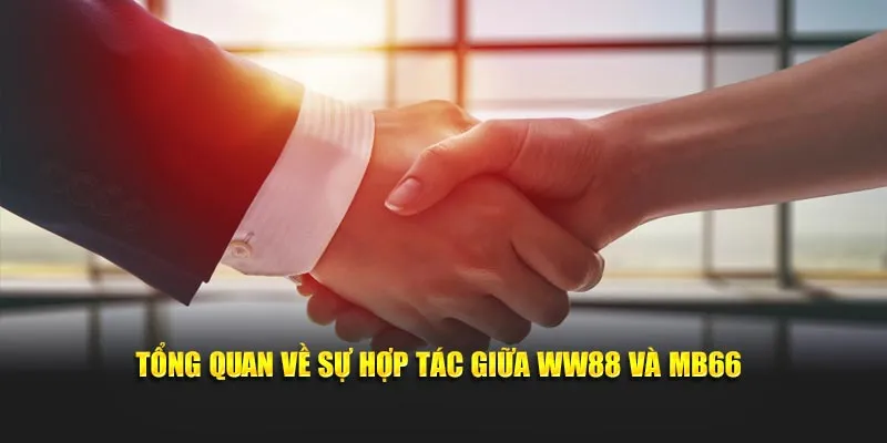 Tổng quan về sự hợp tác giữa WW88 và MB66
