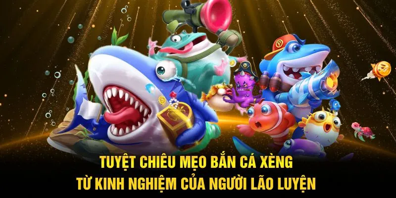 Tuyệt chiêu mẹo bắn cá xèng từ kinh nghiệm của người lão luyện